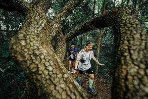 BIB: 
                            <button type="button" onclick="openModal(25669479)" class="btn btn-primary btn-sm float-right btn-popup" data-toggle="modal" data-target=".modal-high-quality">
                        <i class="fas fa-shopping-cart"></i> Add to Cart
                    </button>
                                            <button type="button" onclick="isThisMe(25669479, true)" class="btn btn-success btn-sm float-right btn-popup btn-isme hidden" data-toggle="tooltip" data-placement="bottom" title="นี่คือรูปของคุณใช่ไหม คลิกที่นี่เพื่อเอาเข้าอัลบั้ม">
                        <i class="fas fa-plus"></i> Add to album
                    </button>
                    <button type="button" onclick="isThisMe(25669479, false)" class="btn btn-warning btn-sm float-right btn-popup btn-isnotme hidden">
                        <i class="fas fa-ban"></i> Remove from album
                    </button>